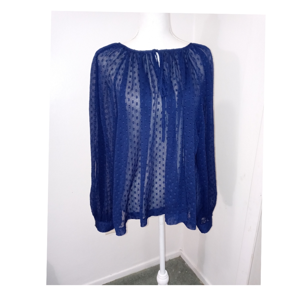 W118 by Walter Baker Essential Blue Sheer Swiss Dot Summer Blouse Size Large●